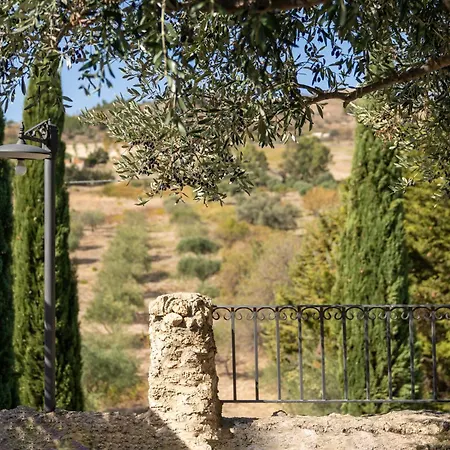Roba Degli Ulivi 4* أغريجنتو