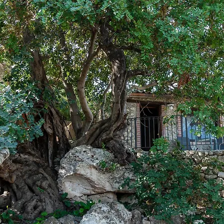 Roba Degli Ulivi Αγκριτζέντο