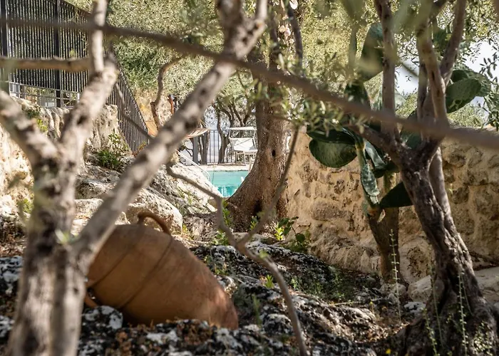 Bed & Breakfast Roba Degli Ulivi