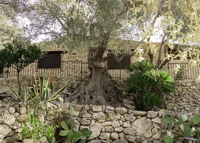 Roba Degli Ulivi Agrigento