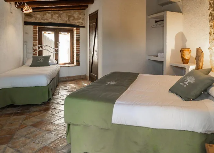 Bed & Breakfast Roba Degli Ulivi