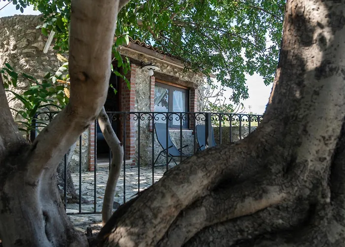 Roba Degli Ulivi Bed & Breakfast