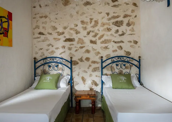 Roba Degli Ulivi Bed & Breakfast