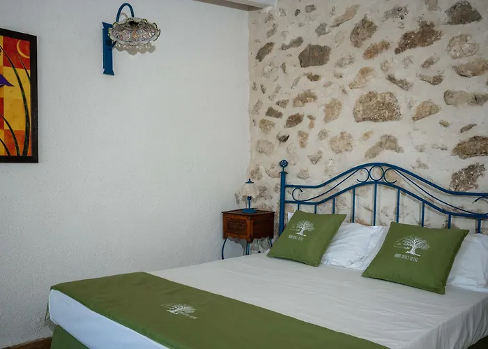 Bed & Breakfast Roba Degli Ulivi