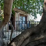 Roba Degli Ulivi Bed & Breakfast