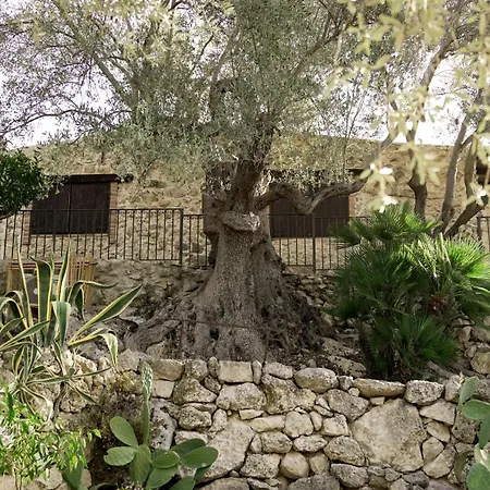 Roba Degli Ulivi Agrigento