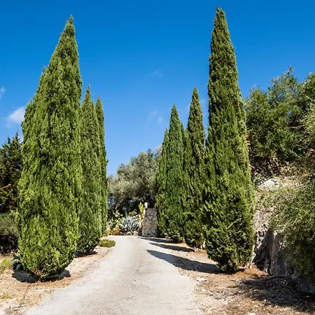 Roba Degli Ulivi