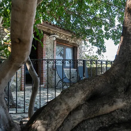 Roba Degli Ulivi Bed & Breakfast
