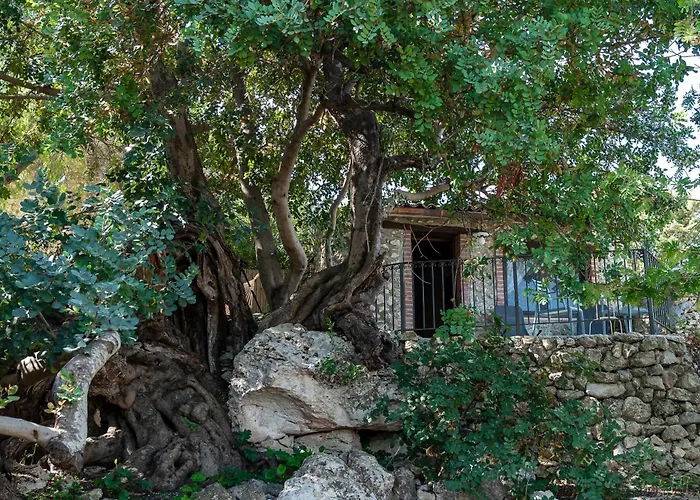 Roba Degli Ulivi Agrigento